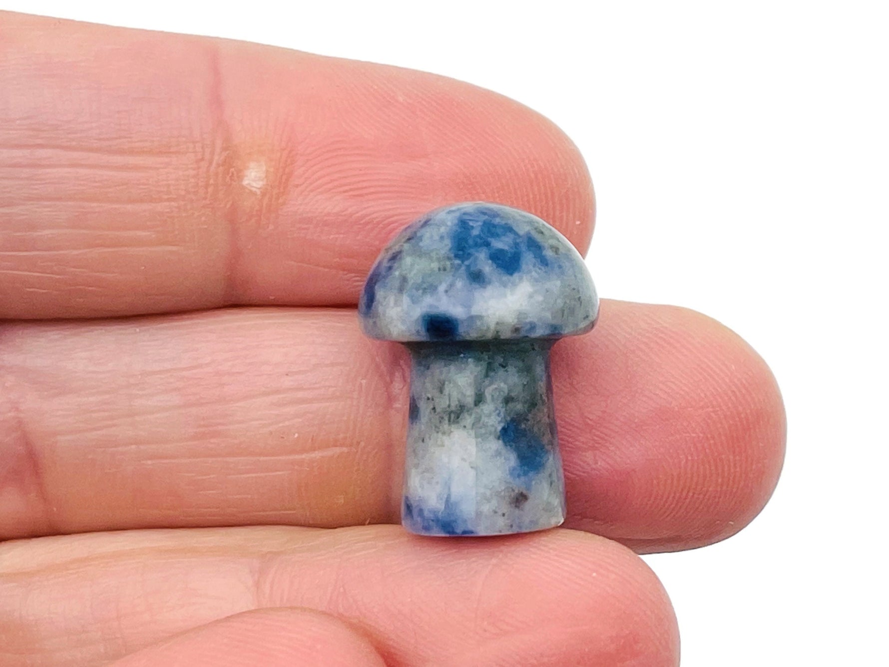 Blue Spot Jasper mushroom carved gemstone, 20mm, showing detailed mushroom shape and vibrant blue spots on polished stone.