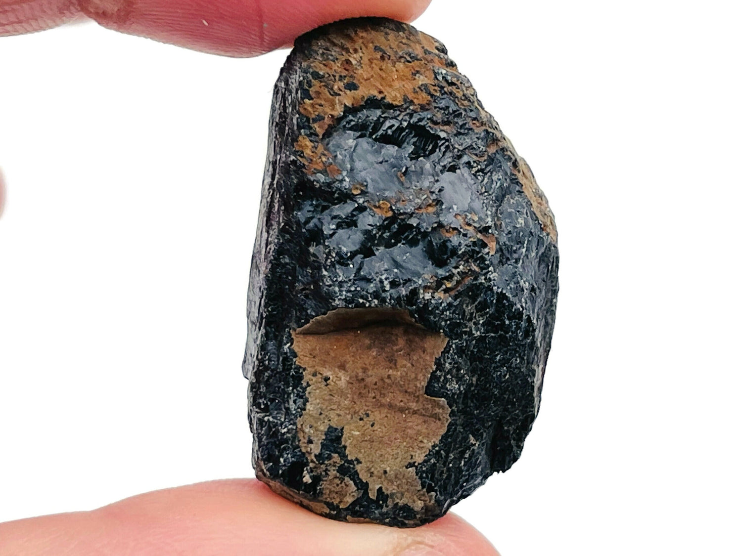 Pierre d'augite brute - Lithothérapie - Pierre précieuse en morceaux - Votre pierre - RA1205