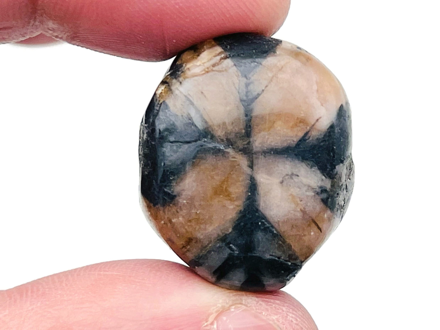 Chiastolite Tumbled Stone - Cross Stone - TU1236