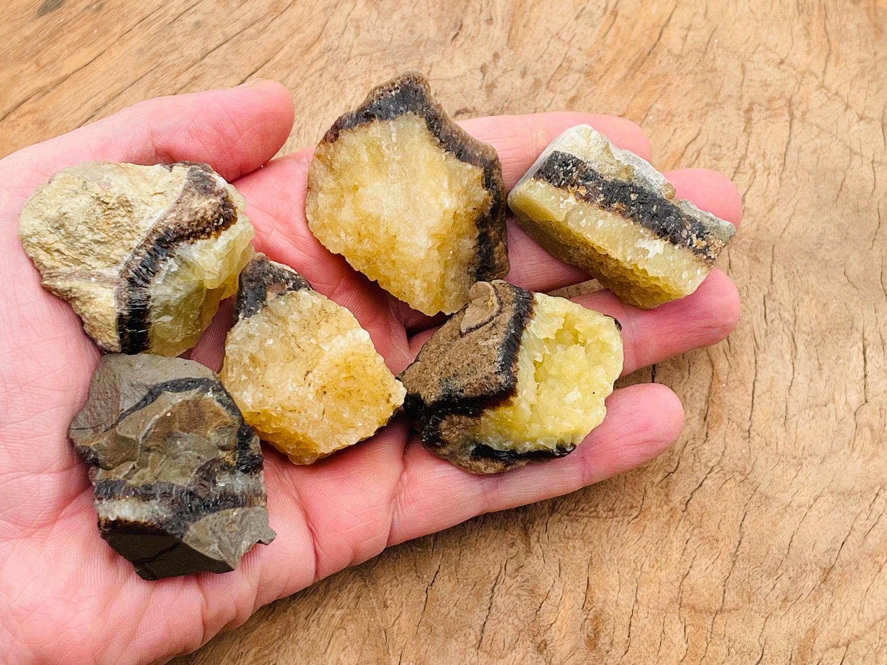 Raw Septarian gemstone, also known as Dragon Stone, from GemstoneGO, showcasing its earthy textures and natural mineral patterns.