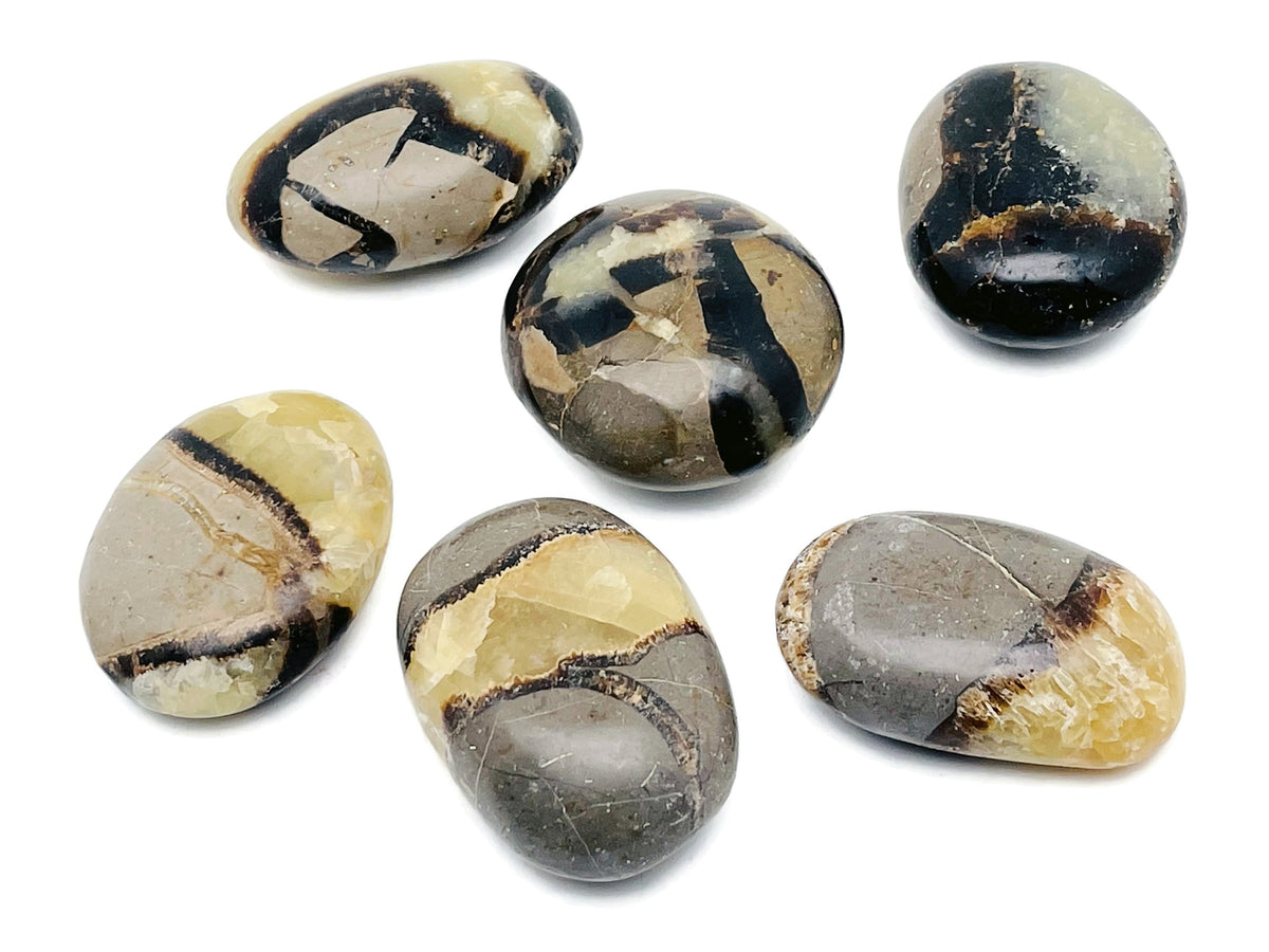 Septarian palm gemstone spa stone with dragon stone accents, smooth polished mineral display from GemstoneGO.