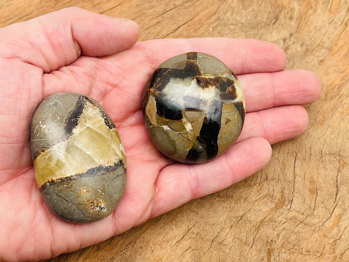 Septarian palm gemstone spa stone, dragon stone mineral from GemstoneGO, showing natural earthy tones and textured surface.