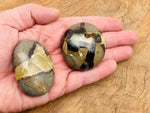 Septarian palm gemstone spa stone, dragon stone mineral from GemstoneGO, showing natural earthy tones and textured surface.