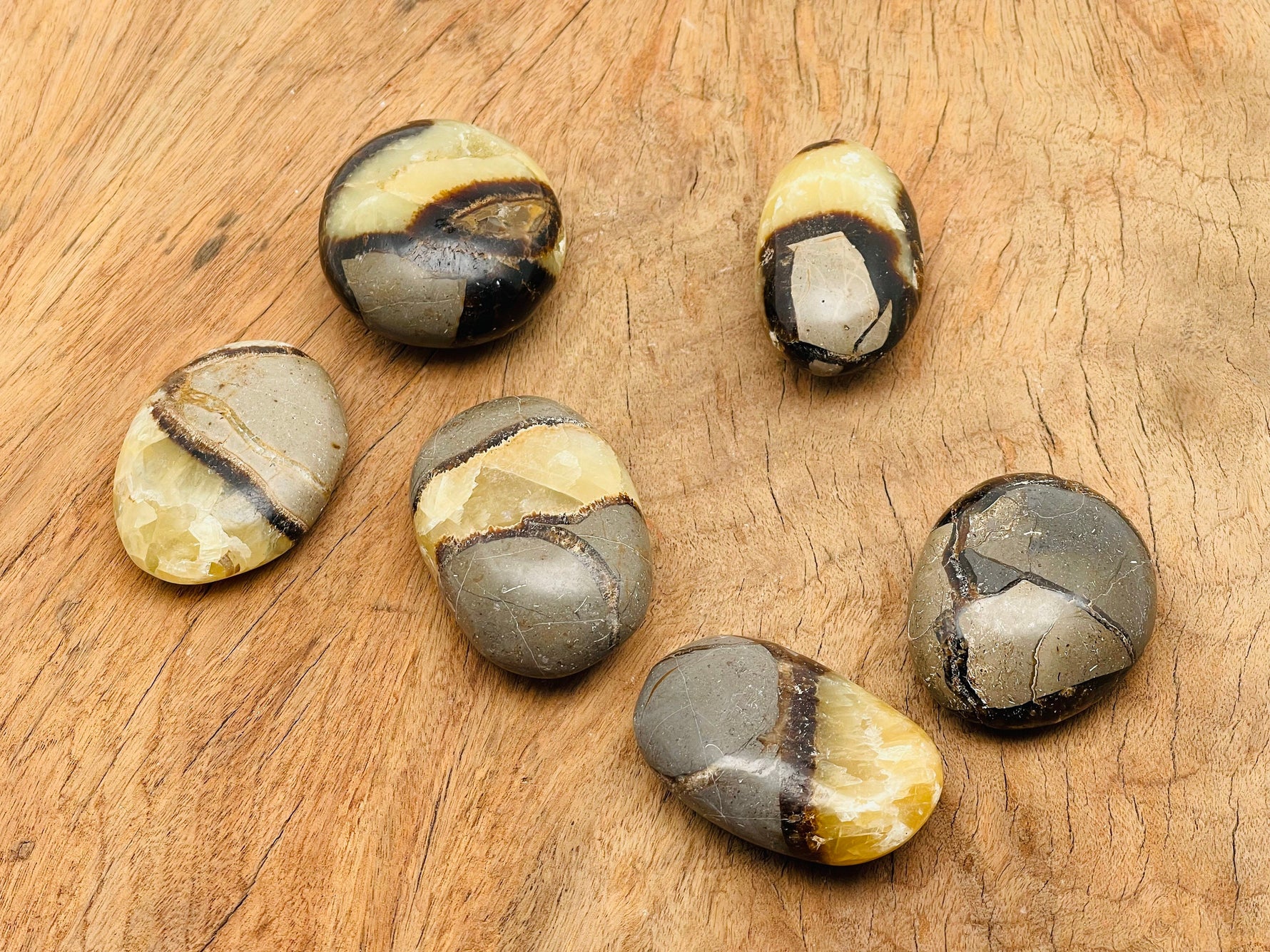 Septarian palm gemstone spa stone with natural dragon stone pattern, handcrafted by GemstoneGO for meditation and relaxation.