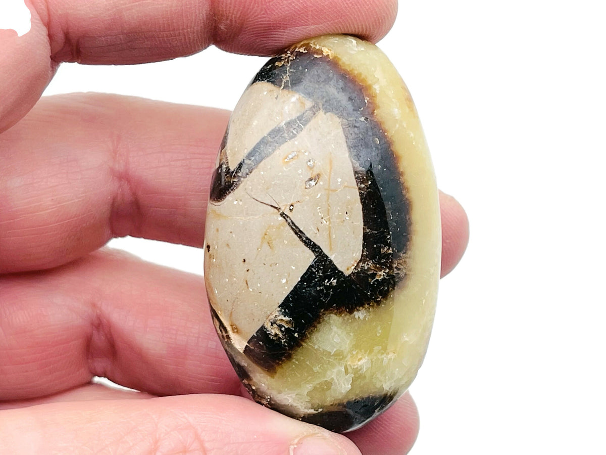 Septarian palm gemstone spa stone featuring earthy dragon stone patterns, ideal for meditation or decorative display.