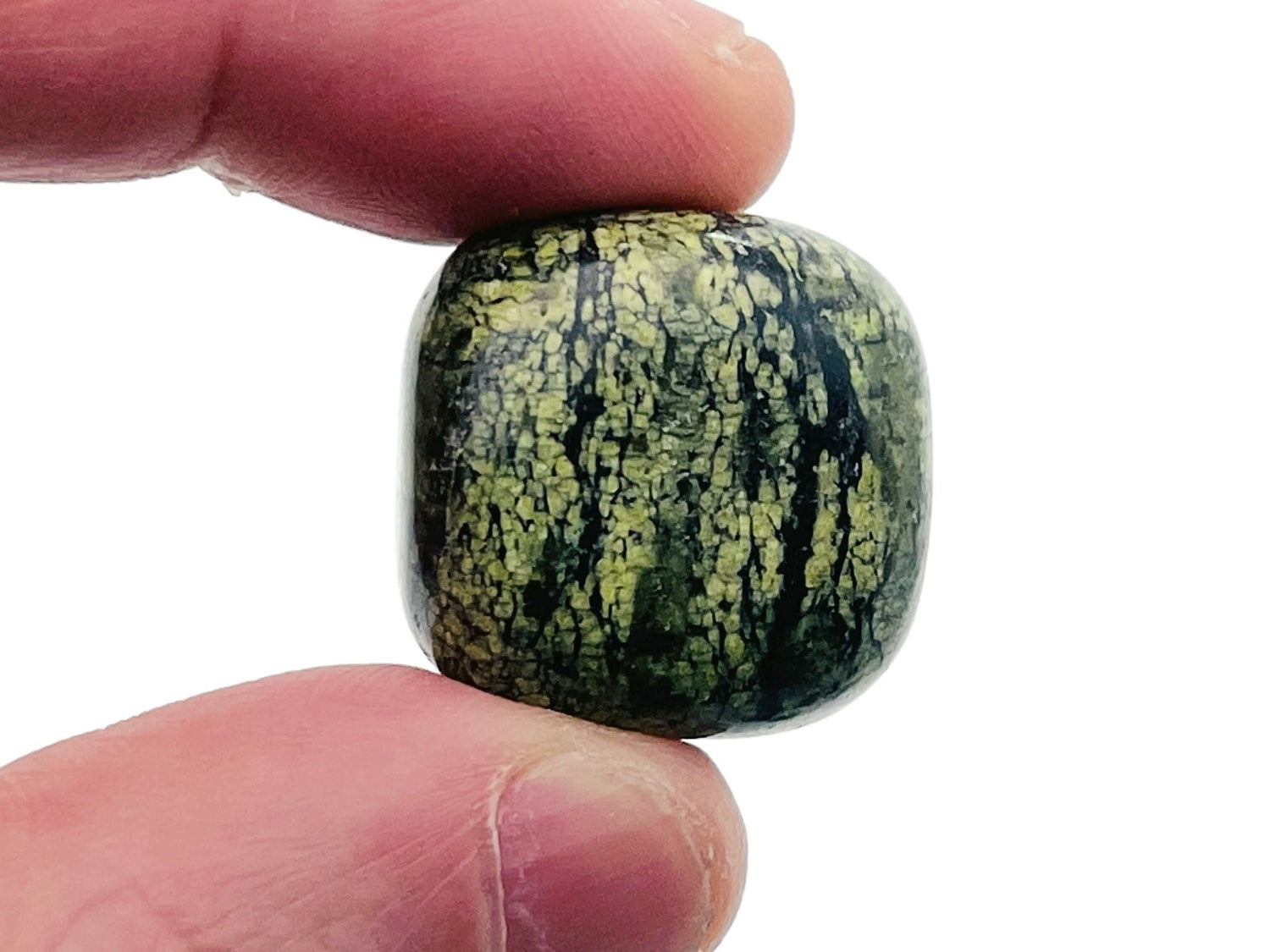 Asterite Serpentine Tumbled Stone - TU1260