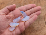 Opalite angel wing crystal pendant with hole charm, showcasing a shimmering angel wing design from GemstoneGO.