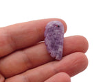 Lepidolite angel wing crystal pendant with hole charm, showcasing a purple and silver gemstone design by GemstoneGO.