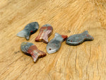 African Bloodstone Fish gemstone pendant featuring a Pisces zodiac design with a hole crystal, crafted by GemstoneGO.