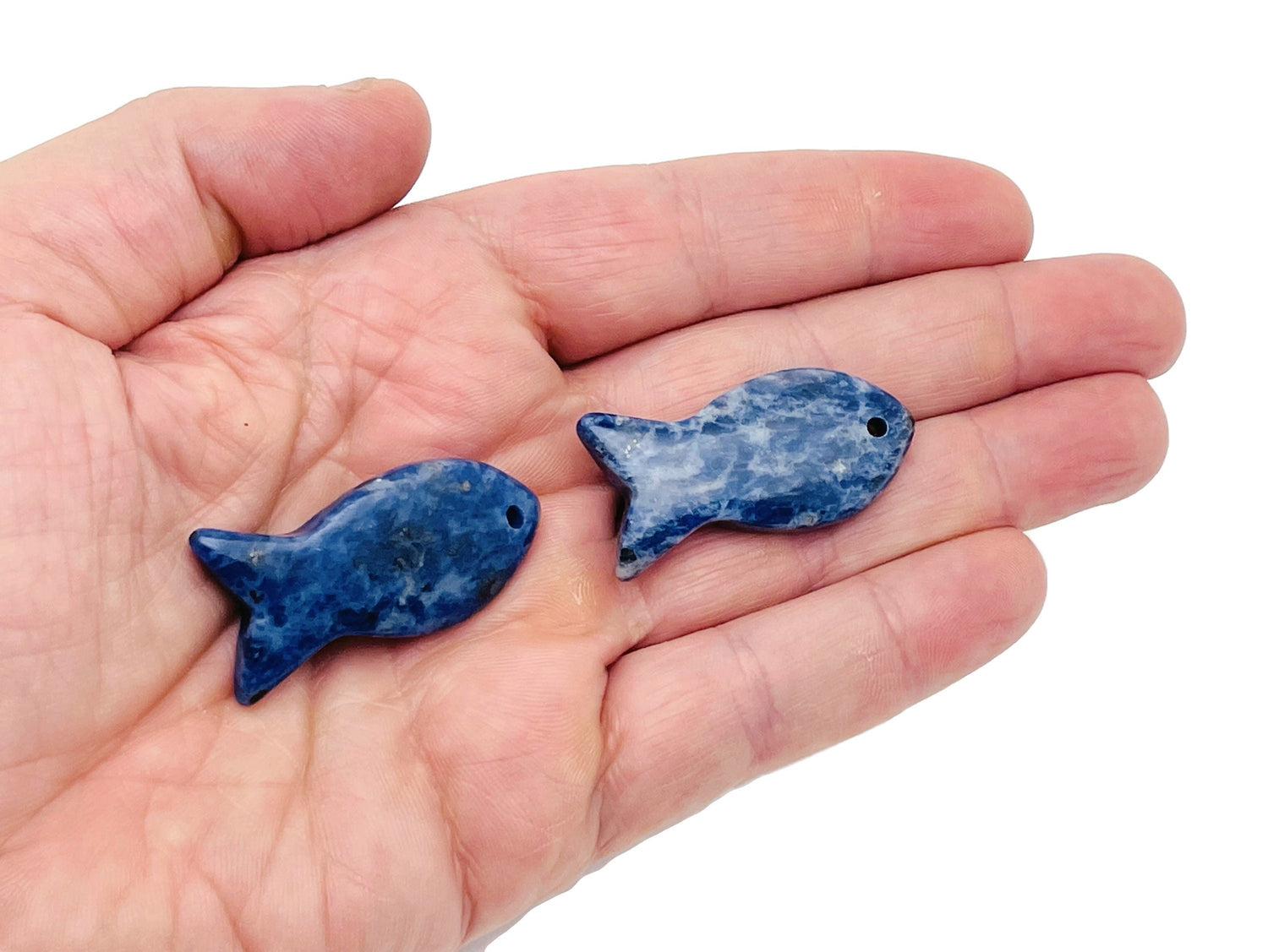 Sodalite Fish Gemstone Pendants - Pisces Zodiac Hole Crystal - NC1402
