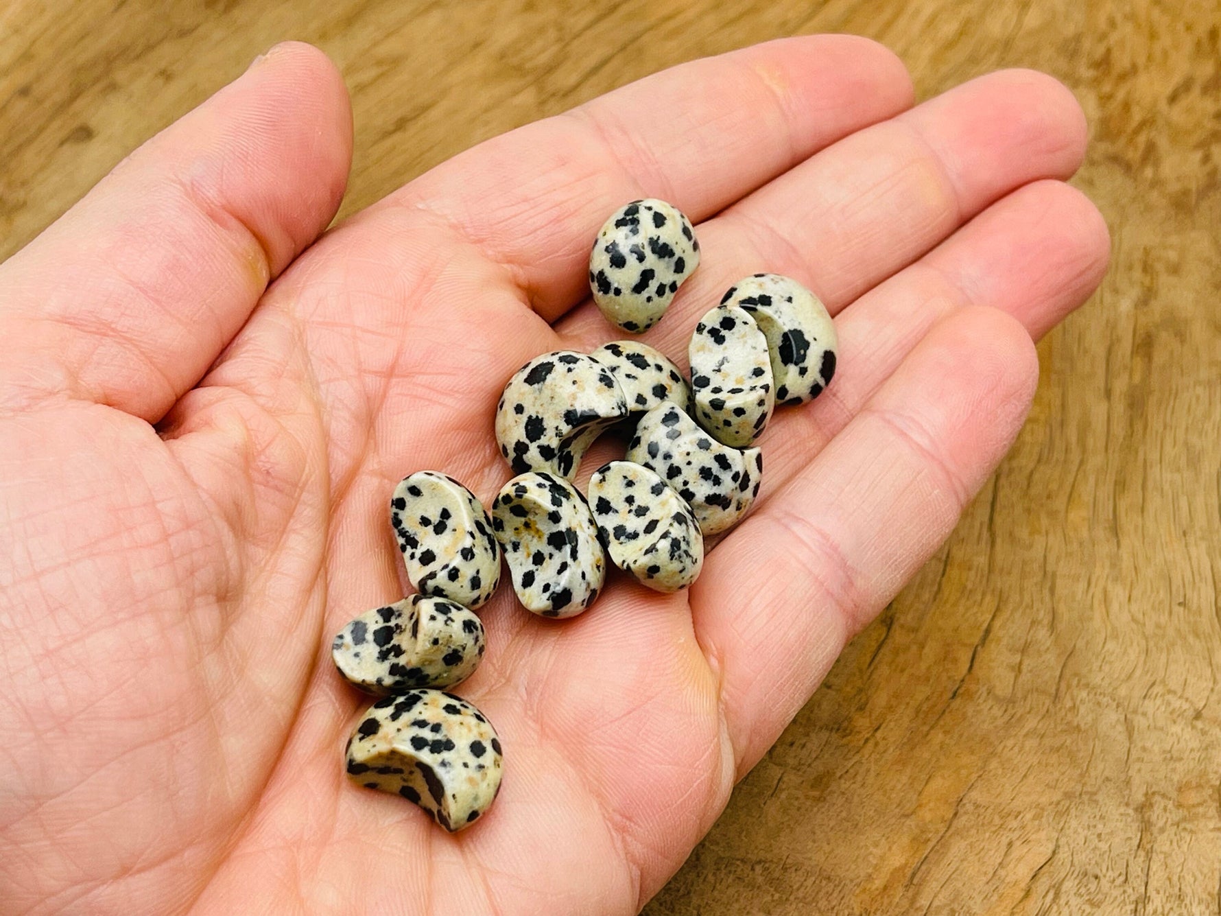 Dalmatian Jasper gemstone moon puffy cabochon, 15x9mm, from GemstoneGO, featuring distinctive black spots on cream-colored stone.