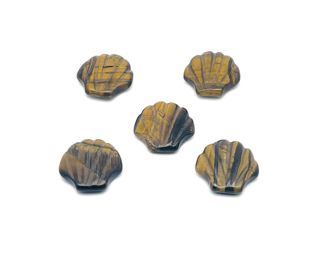 Tiger Eye sea shell carving gemstone, 30mm, with intricate natural patterns, from GemstoneGO.
