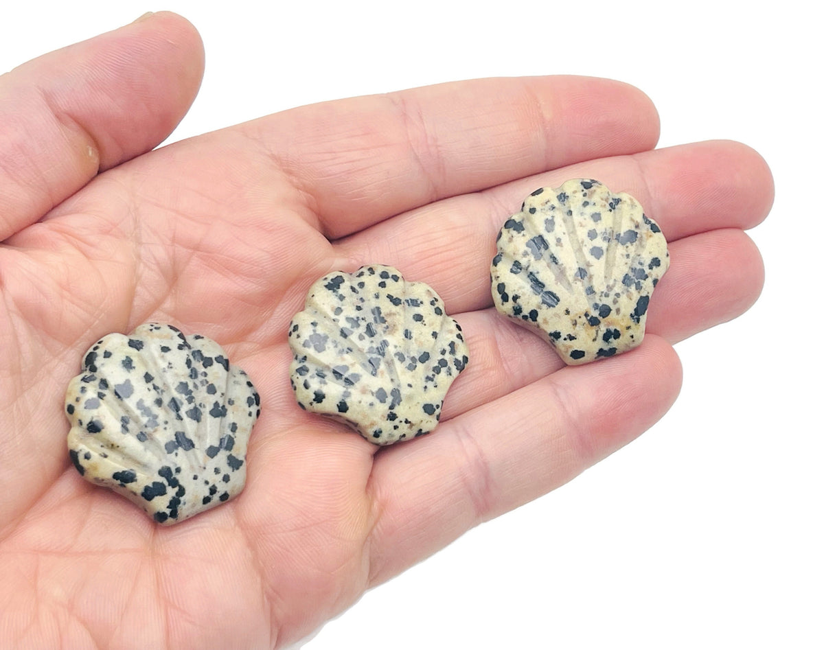 Dalmatian Jasper sea shell carving gemstone, 30mm, showcasing intricate patterns and natural stone details.