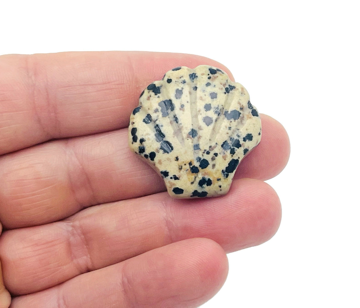 Dalmatian Jasper sea shell carving gemstone, 30mm, showcasing natural Dalmatian pattern and detailed shell design.