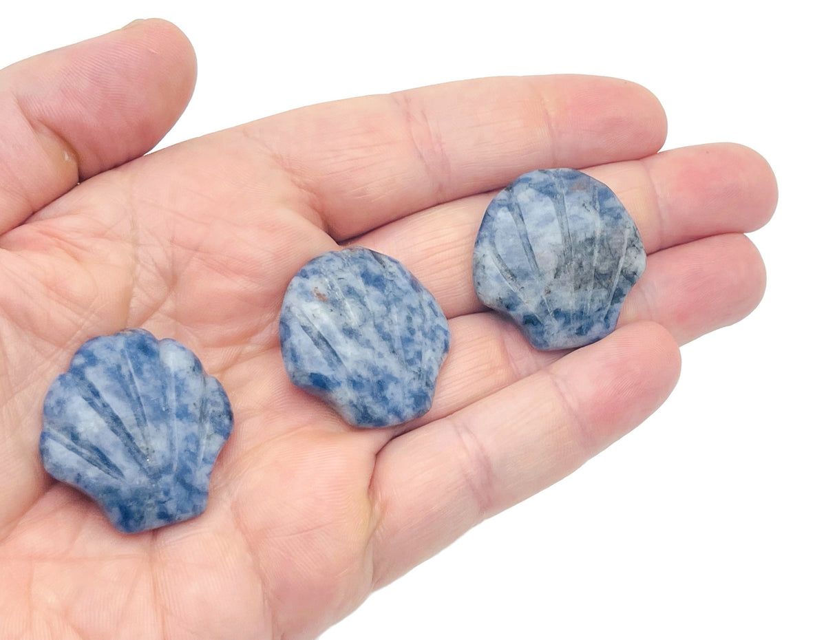 Sodalite sea shell carving gemstone, 30mm, with intricate natural blue and white patterns, from GemstoneGO.