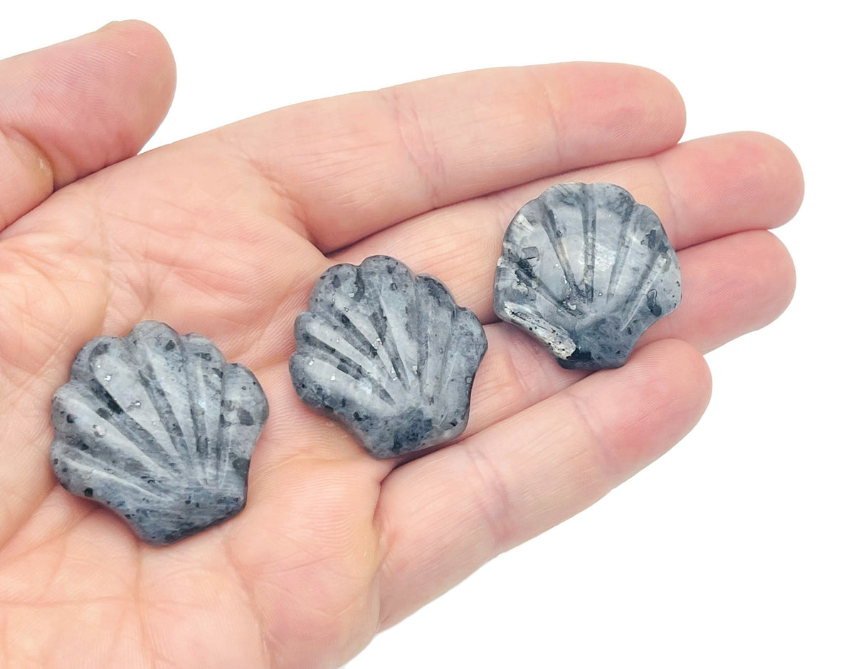 Colorful 30mm gemstone shell carving for jewelry making, featuring a mixed collection of sea shell designs by GemstoneGO.