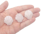Rose quartz sea shell carving gemstone, 30mm, from GemstoneGO, showing a pink carved shell-shaped stone on a white background.