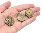 Tiger Eye sea shell carving gemstone, 30mm, from GemstoneGO, featuring intricate natural patterns and warm golden-brown tones.