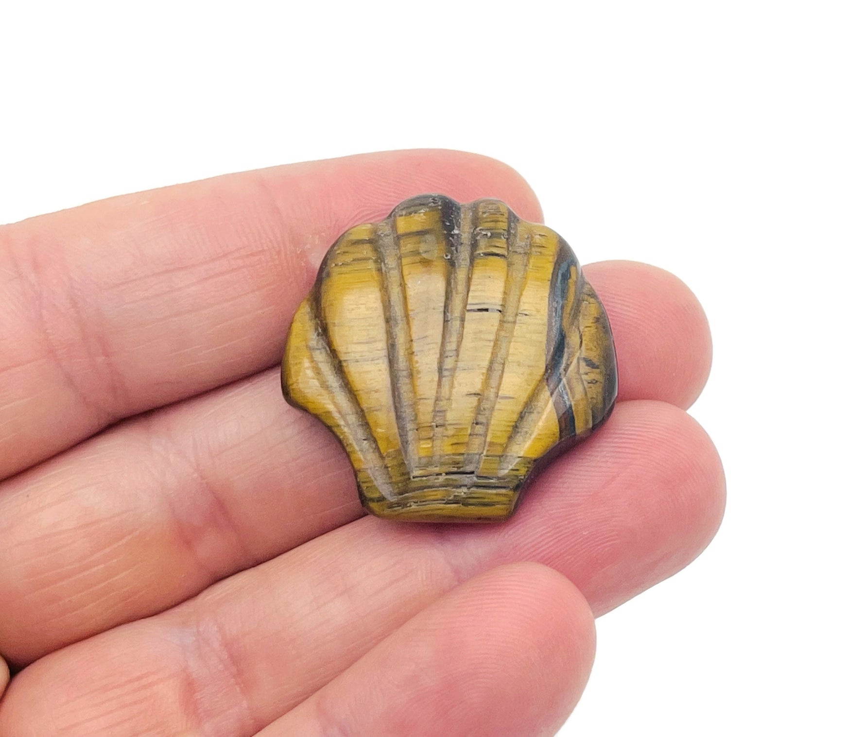 Tiger Eye sea shell carving gemstone from GemstoneGO, 30mm size, showing detailed natural tiger eye and shell patterns.