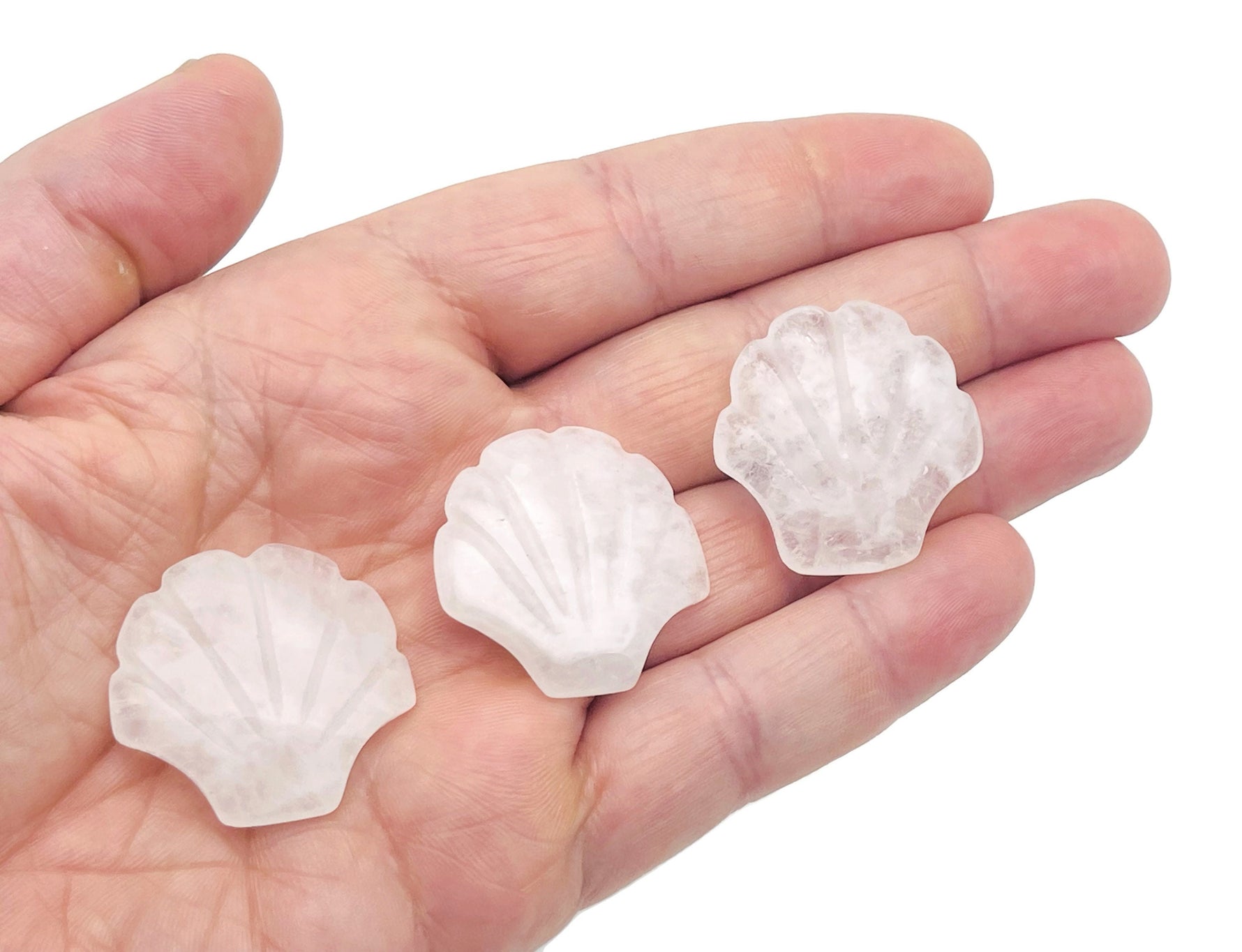 Clear quartz sea shell carving gemstone, 30mm, from GemstoneGO, showing detailed sea shell shape and smooth polished surface.