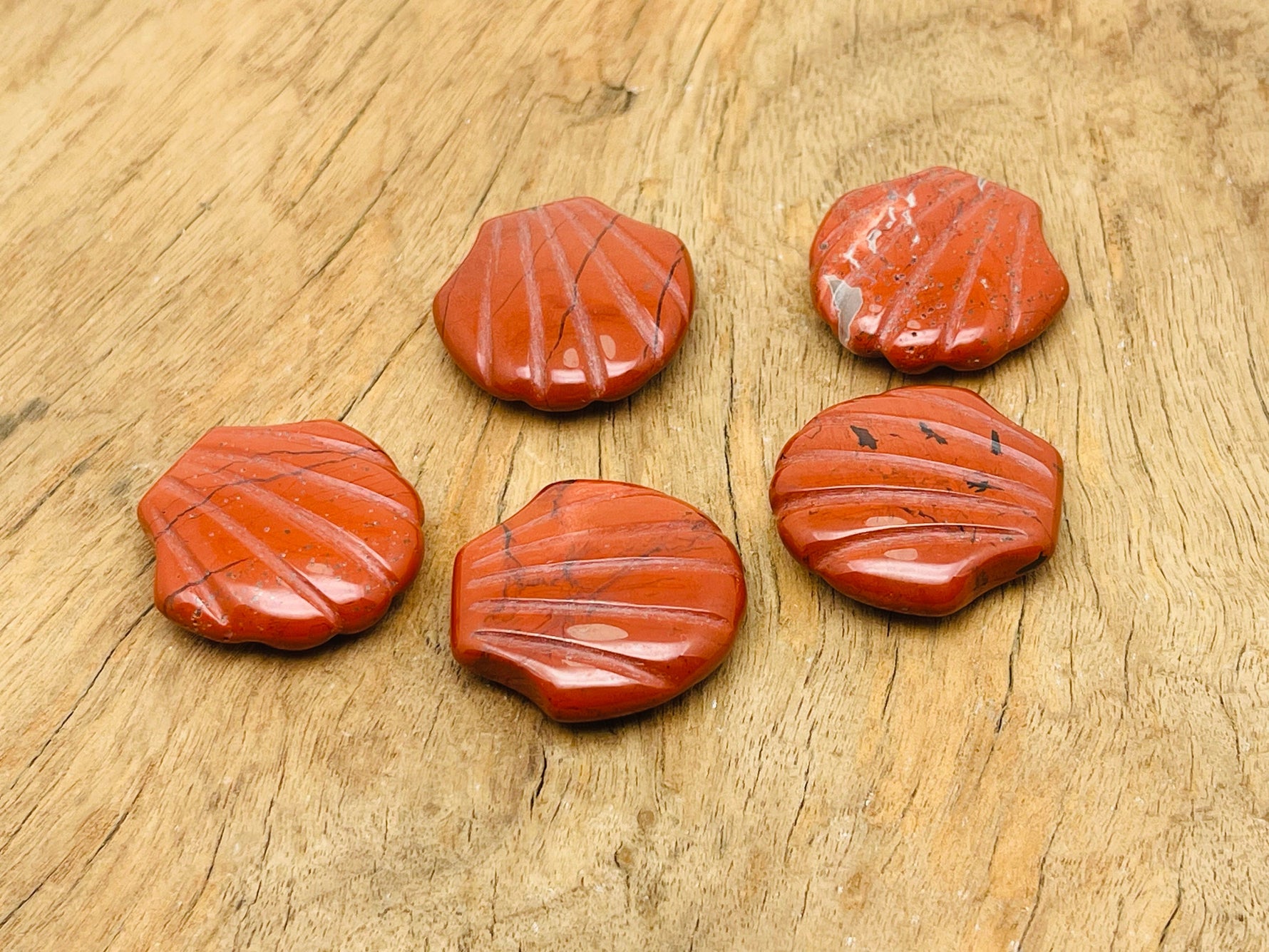 Red Jasper sea shell carving gemstone, 30mm, from GemstoneGO, featuring detailed shell design and vibrant red color.