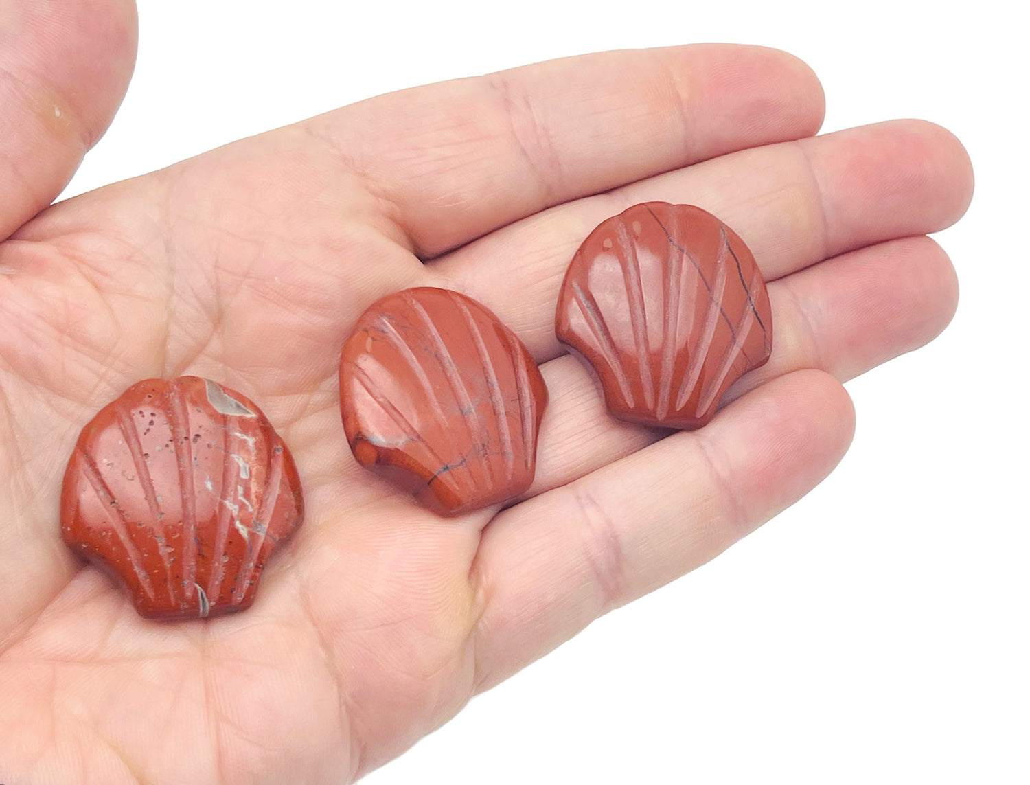 Red Jasper sea shell carving gemstone, 30mm, with intricate shell design, by GemstoneGO.