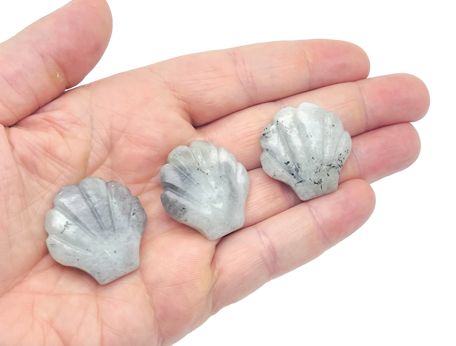 Labradorite sea shell carving gemstone, 30mm, with iridescent blue and green hues, crafted by GemstoneGO.