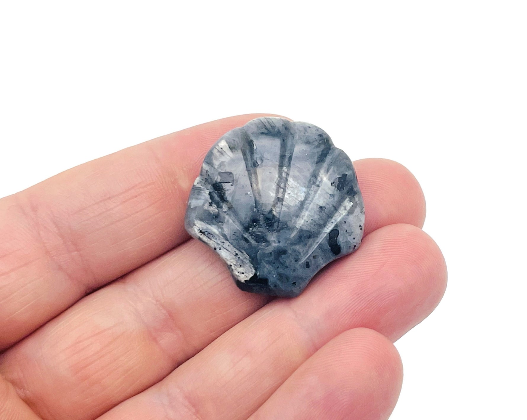 Larvikite sea shell carving gemstone, 30mm, showcasing intricate natural patterns and a polished surface for jewelry or collection.