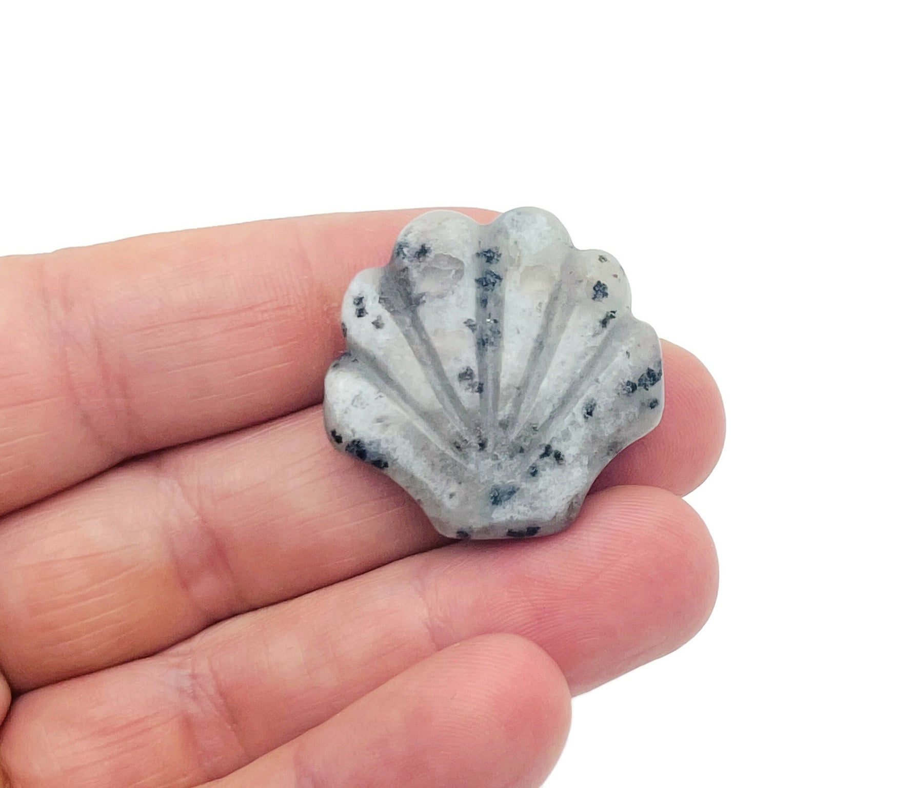 Kiwi Jasper Sea Shell carving gemstone 30mm from GemstoneGO, featuring a detailed sea shell design on polished stone surface.