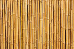 Tiger Eye bamboo shape crystal pendant from GemstoneGO featuring a protective crystal design, showcasing warm golden-brown hues.