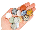 Seven randomly selected gemstones in a crystal mystery box gift set by GemstoneGO, featuring sea shell carvings and vibrant colors.