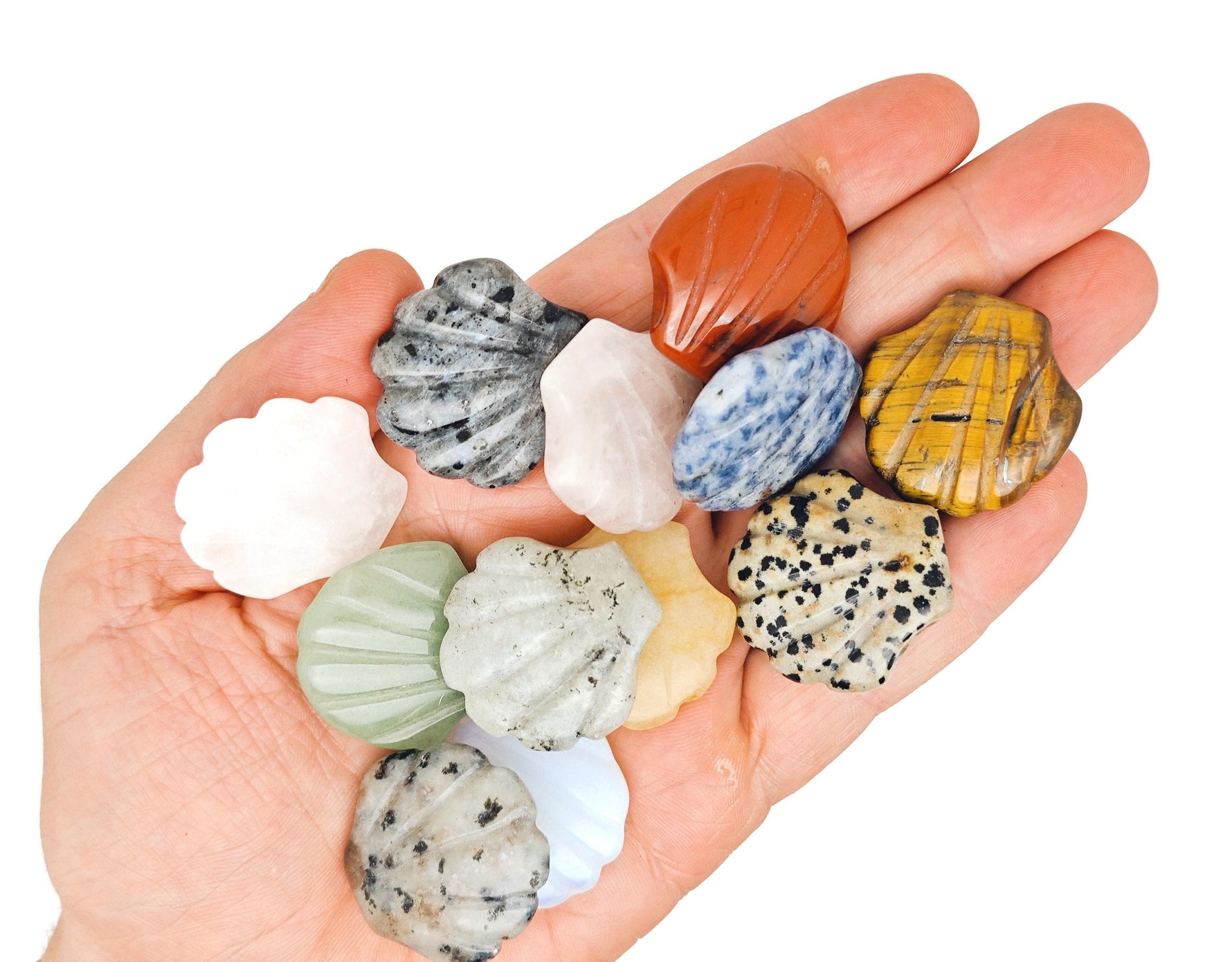 Seven randomly selected gemstones in a crystal mystery box gift set by GemstoneGO, featuring sea shell carvings and vibrant colors.