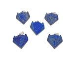 Lapis Lazuli wolf head gemstone pendant from GemstoneGO with intricate details and vibrant blue color on a silver chain.
