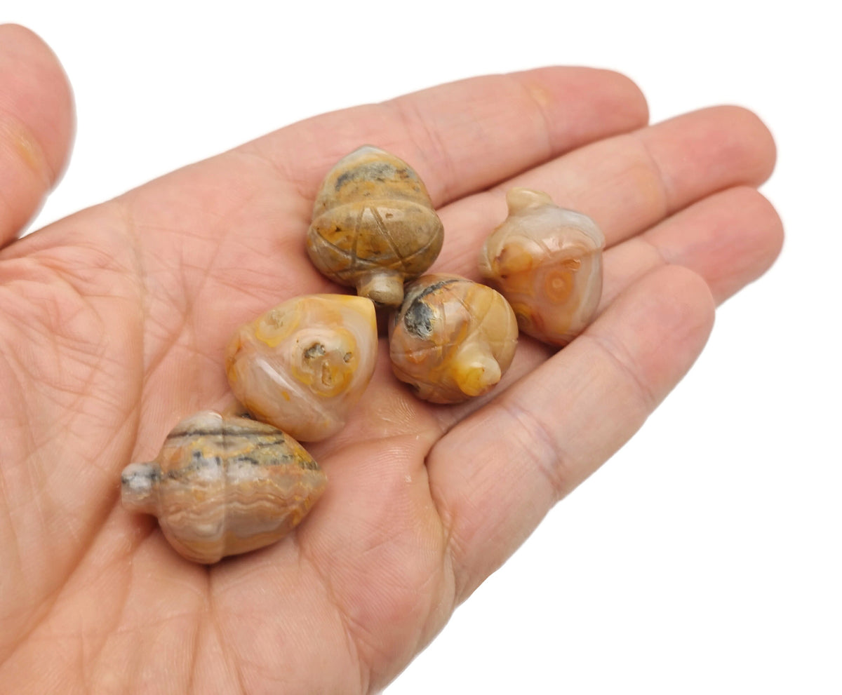 Crazy Lace Agate crystal acorn carved gemstone, 26mm, decorative home crystal ornament by GemstoneGO