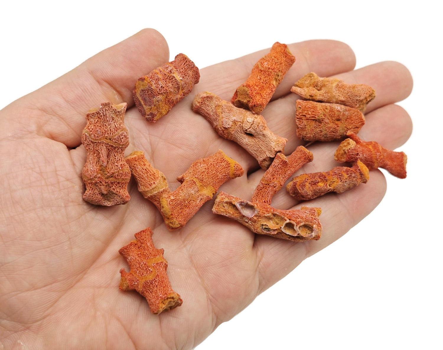 Raw Red Coral - Aquarium Gemstones - FO1018