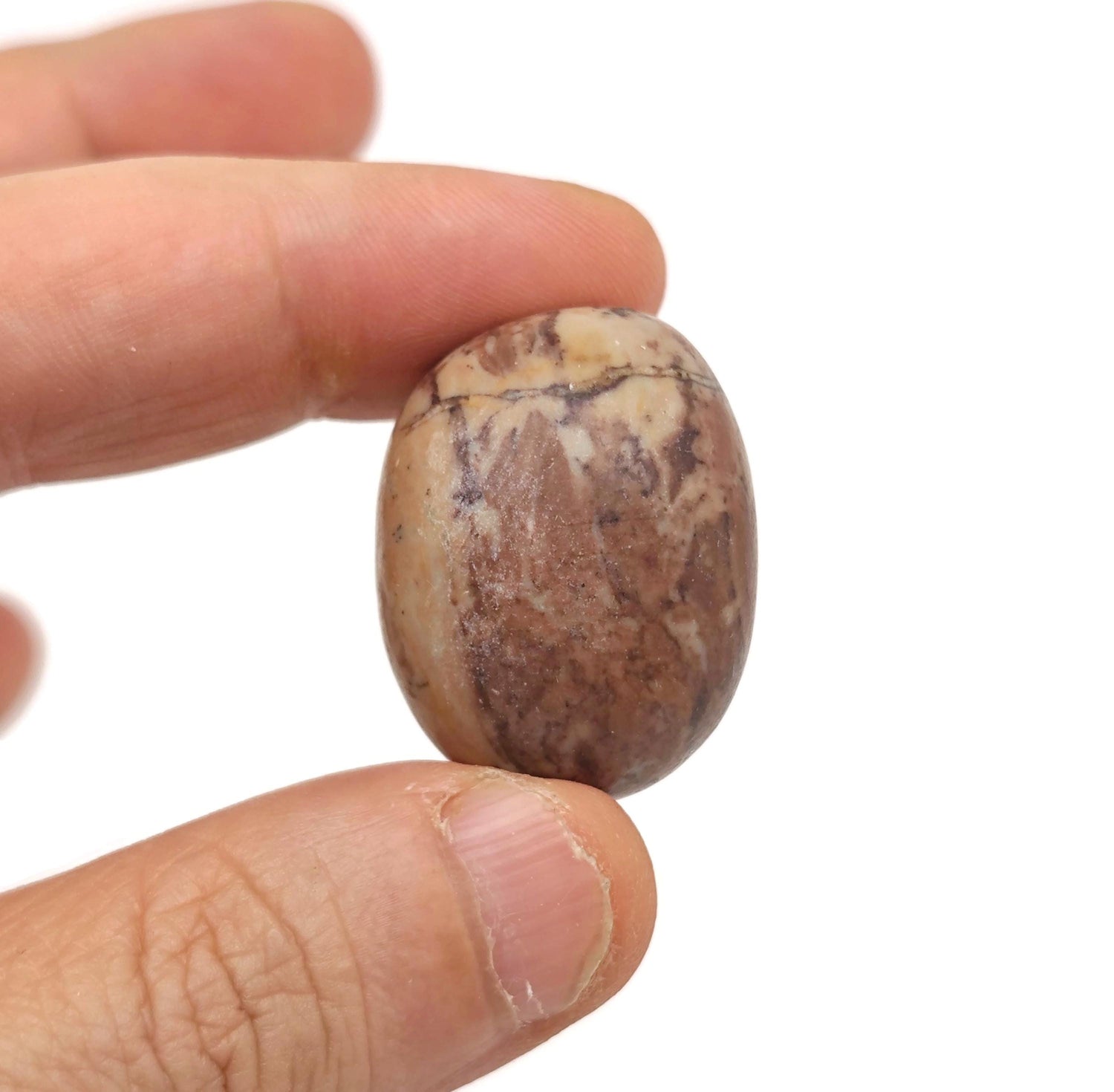Petrified Wood Tumbled Stone - TU1318