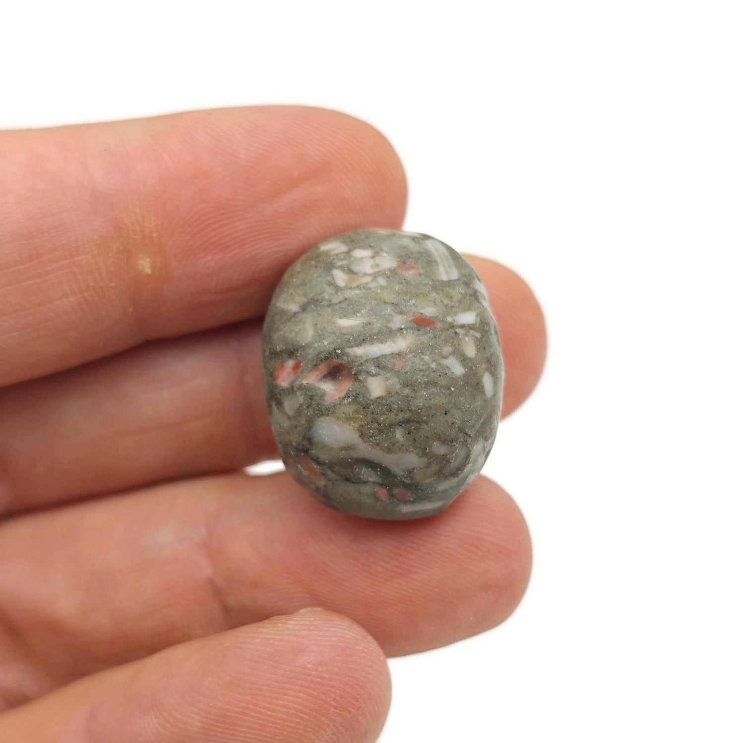 Crinoid Fossil Tumbled Stone - TU1324