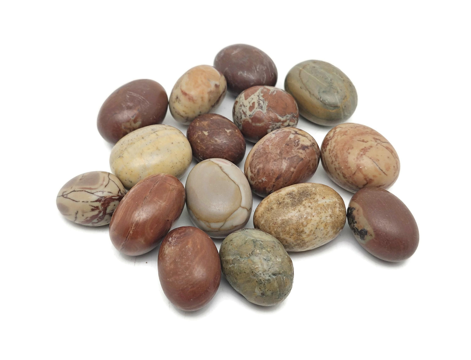 Petrified Wood Tumbled Stone - TU1318