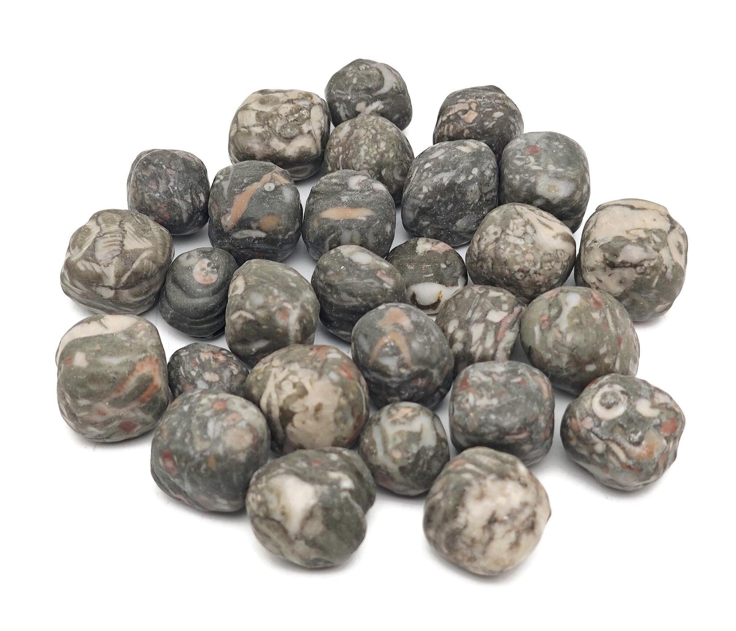 Crinoid Fossil Tumbled Stone - TU1324