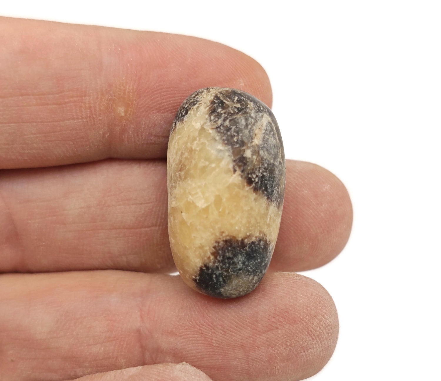 Septarian Tumbled Stone - Dragon Stone - TU1341