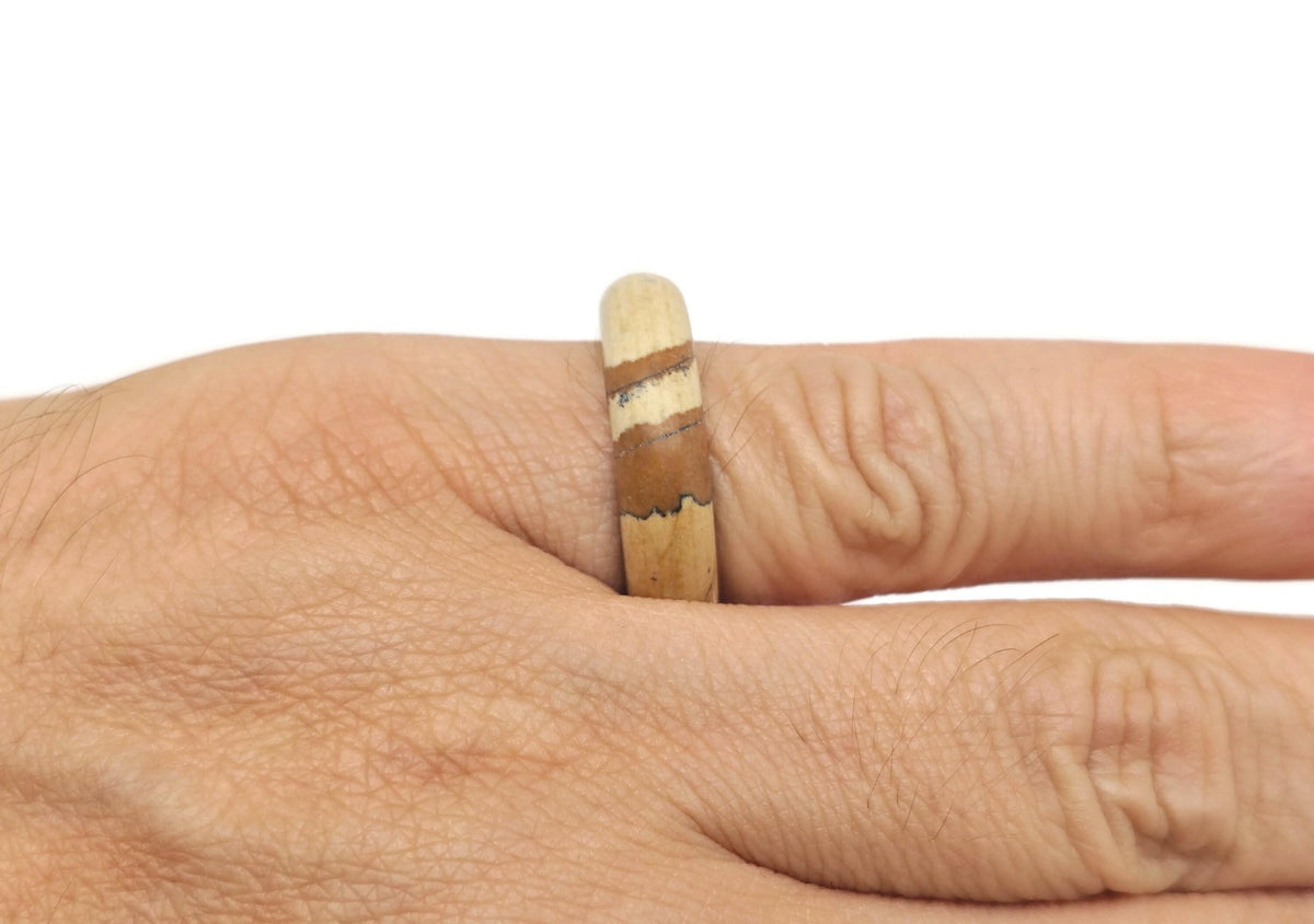 Picture Jasper crystal ring by GemstoneGO featuring a polished gemstone set in a silver band for elegant jewelry.