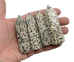Dalmatian Jasper obelisk tower crystal from GemstoneGO, featuring distinctive black spots on beige stone, standing upright.