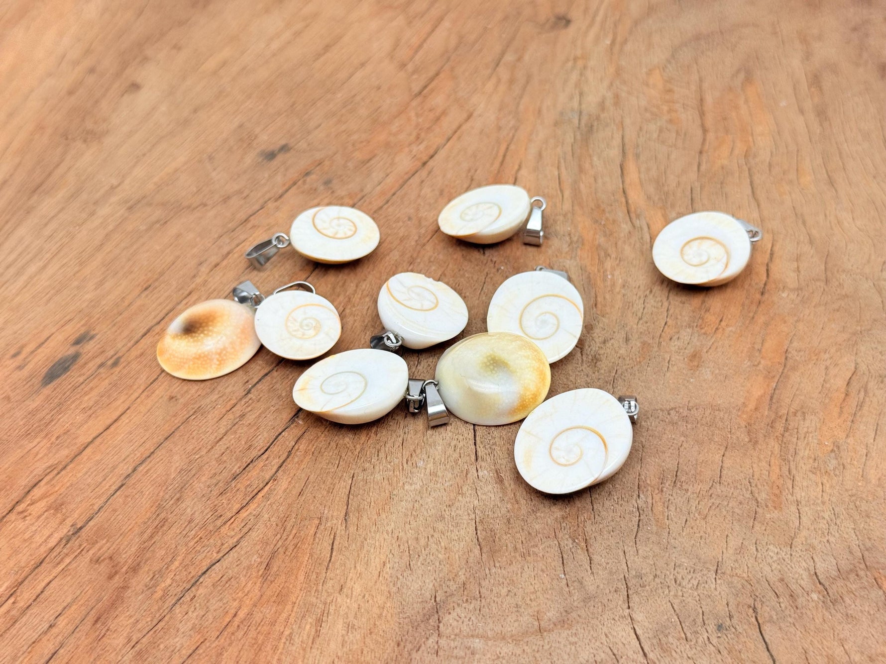 Shiva shell pendant with witchcraft crystals and gemstone details, showcasing a natural, polished gemstone necklace.