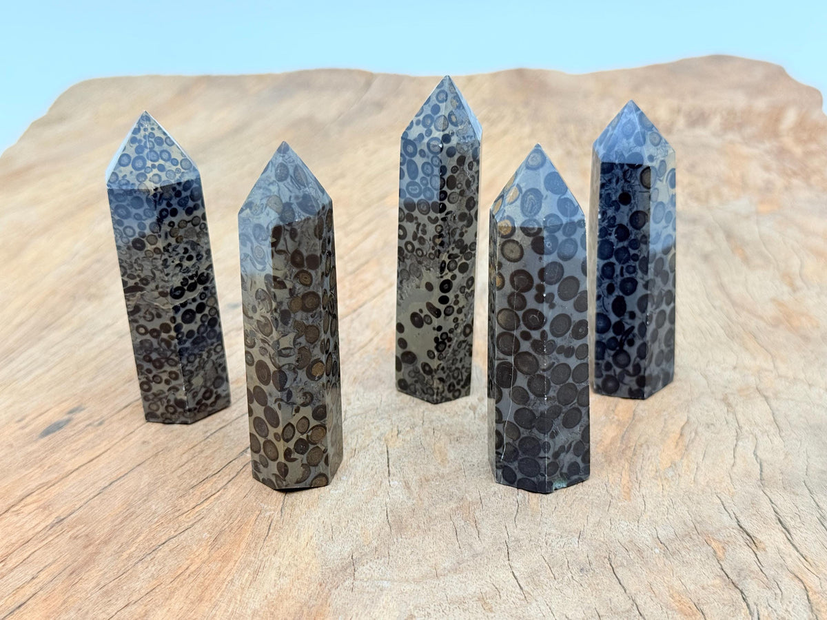 Leopard skin Jasper obelisk tower crystal by GemstoneGO, featuring a tall, polished stone with distinctive leopard print patterns.
