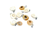 Shiva Shell pendant from GemstoneGO featuring a natural gemstone pendant with intricate witchcraft crystal details.