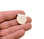 Shiva Shell pendant from GemstoneGO featuring a polished gemstone with natural shell patterns and a silver bail.