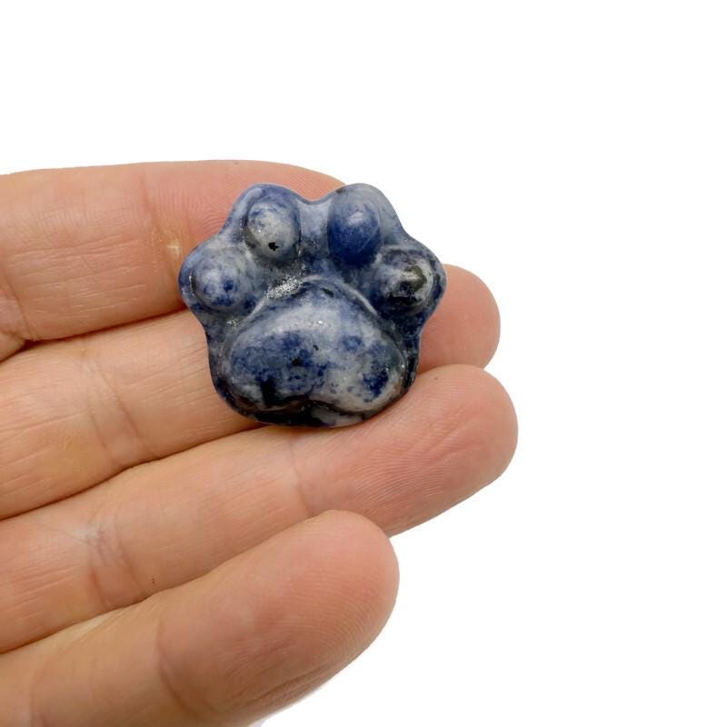 Sodalite Bear Paw Crystal Carving - 30mm - HA1250