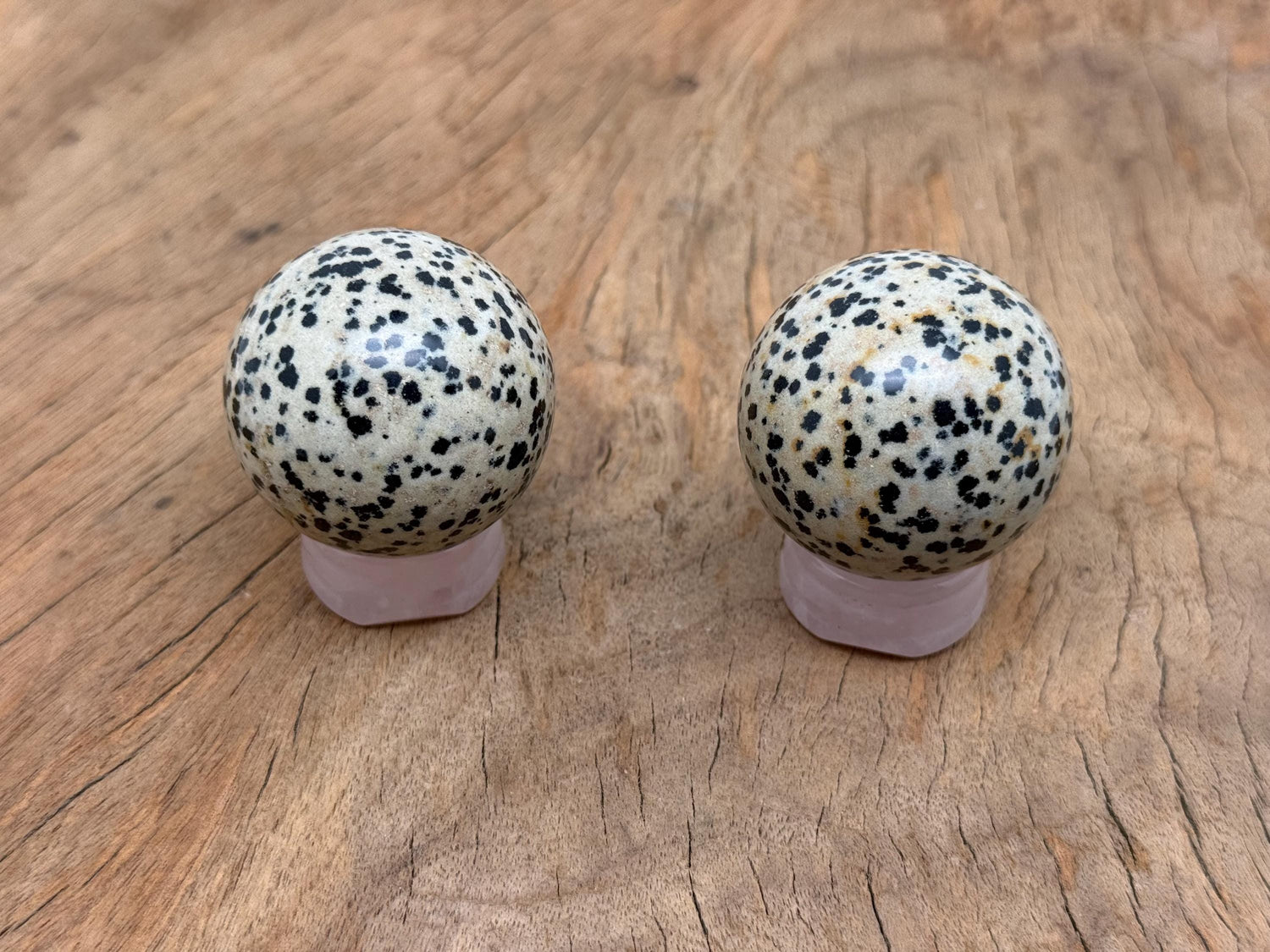 Dalmatian Jasper Sphere Gemstone - Crystal Ball - 40-50mm - BA1067