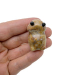 Handcrafted Crazy Lace Agate frog gemstone carving showing vibrant patterns and detailed features on a polished creature statue.