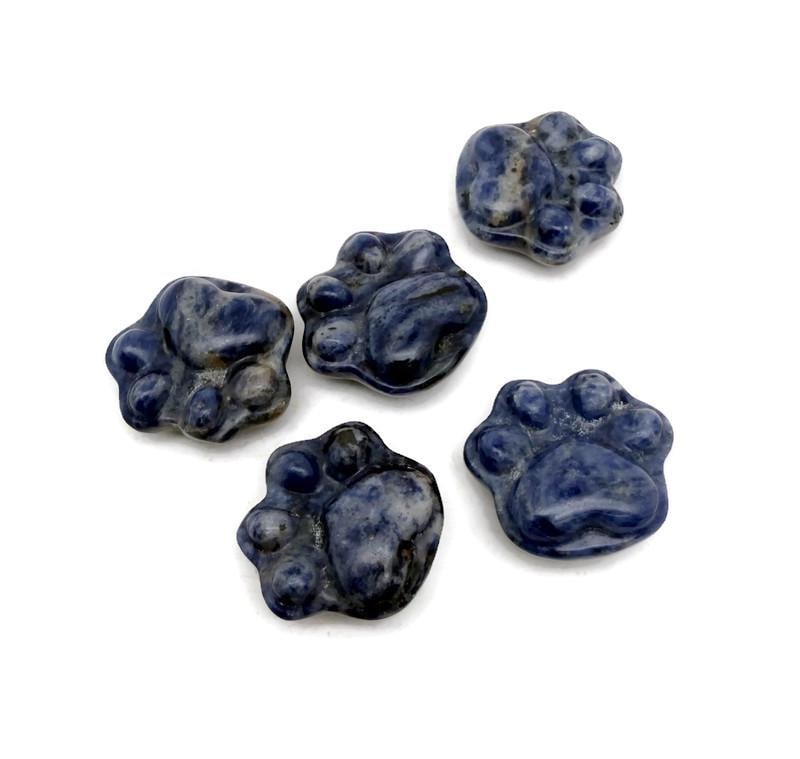 Sodalite Bear Paw Crystal Carving - 30mm - HA1250